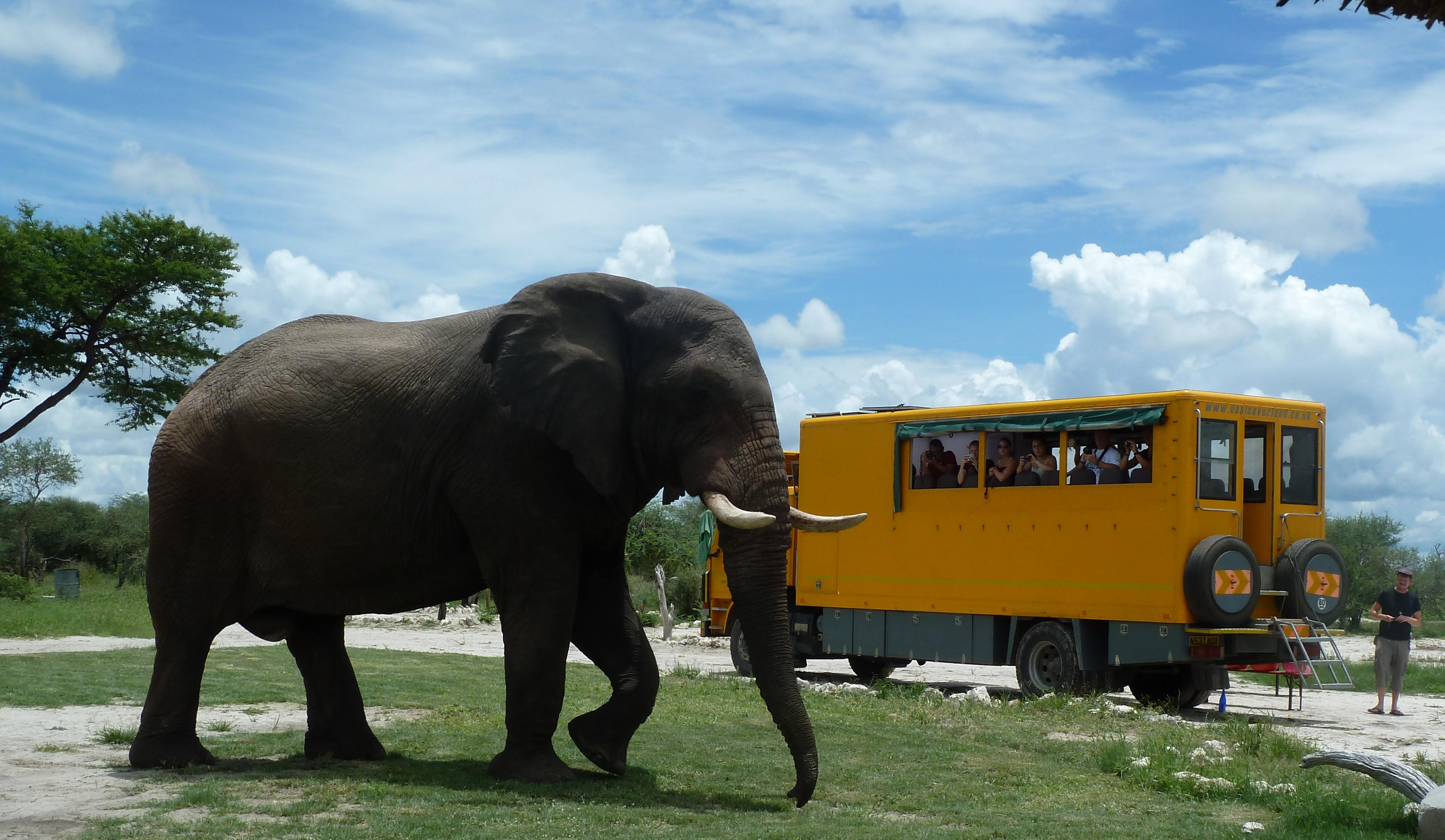 Our iconic big yellow trucks back on the road