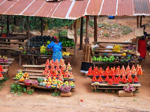 Environmental Policy