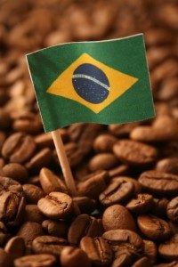 Brazilian Coffee