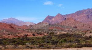 Cafayate 