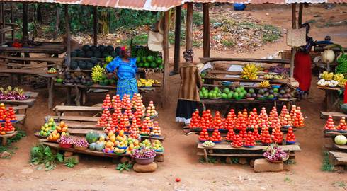 NAIROBI to HARARE (44 days) Apes & Lakes