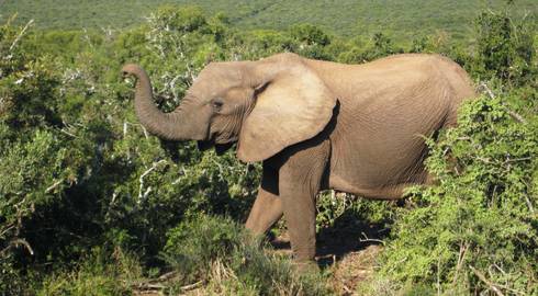 CAPE TOWN to JOHANNESBURG (17 days) South Africa & Lesotho