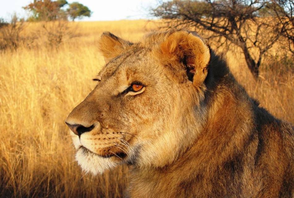 Book Donation - Bunyoni - Uganda