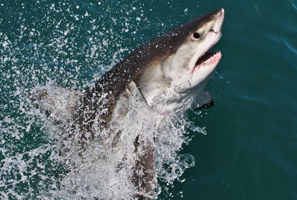 Book Donation - Bunyoni - Uganda