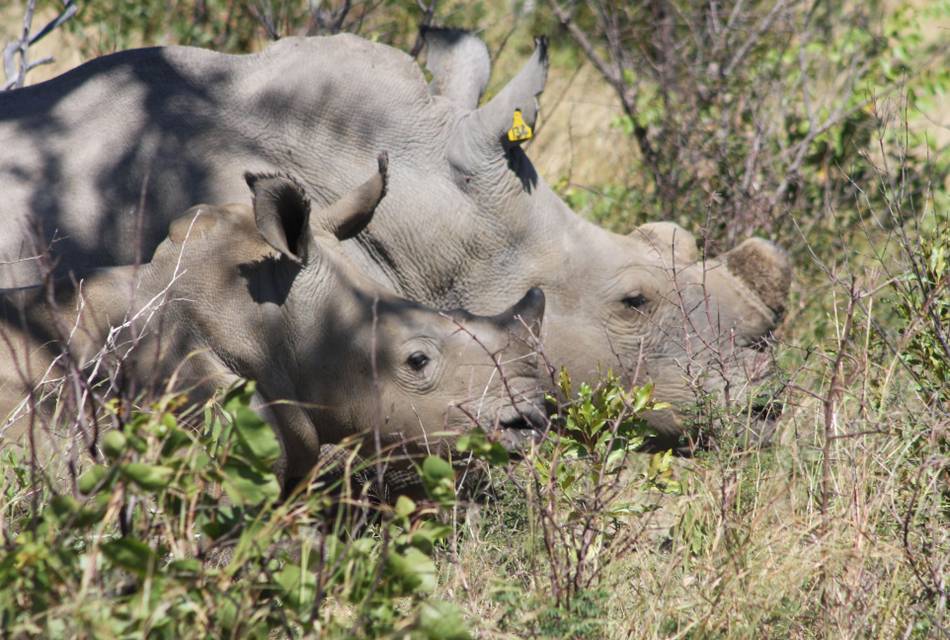 Soft Power Education - Uganda